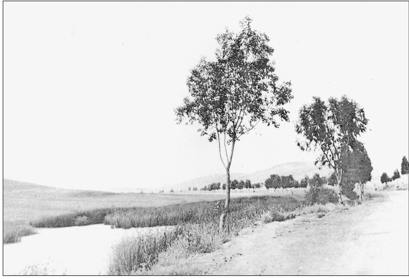 The old road through the Laguna Canyon is pictured here in its most basic - photo 5