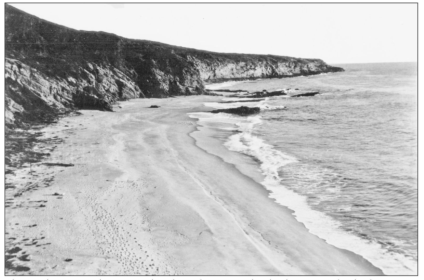 Thousand Steps Beach is pictured in the early 1920s and is desolate except for - photo 6