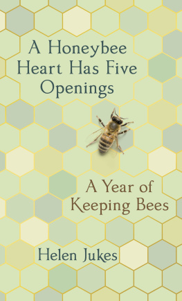 Helen Jukes A Year of Keeping Bees