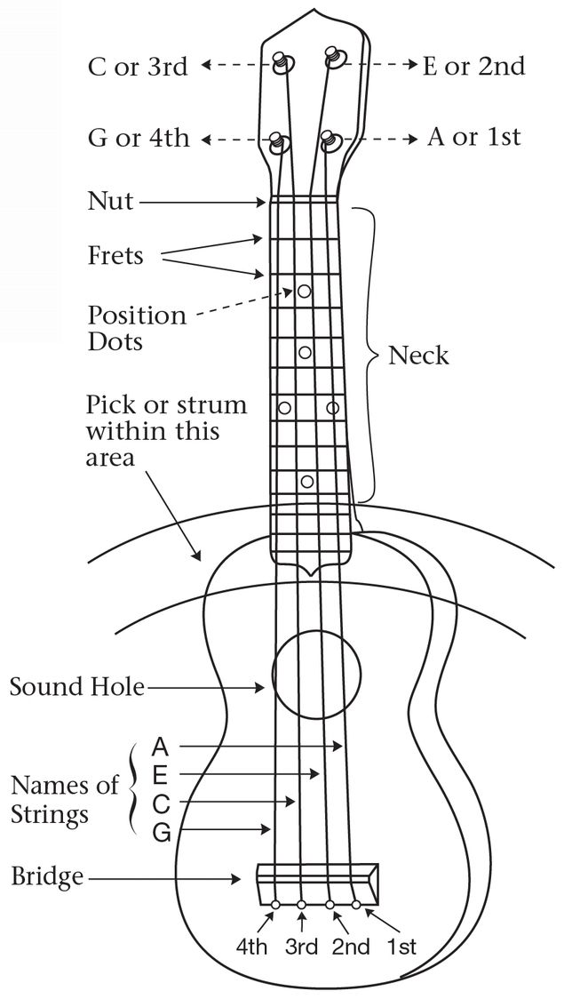 Uke C Tuning One easy way to tune a ukulele is with a pitchpipe or electronic - photo 5