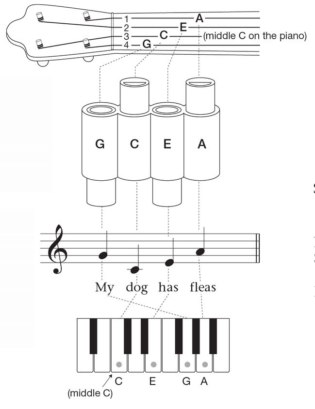 Keeping In Tune Most ukuleles have friction tuners that include a small screw - photo 6