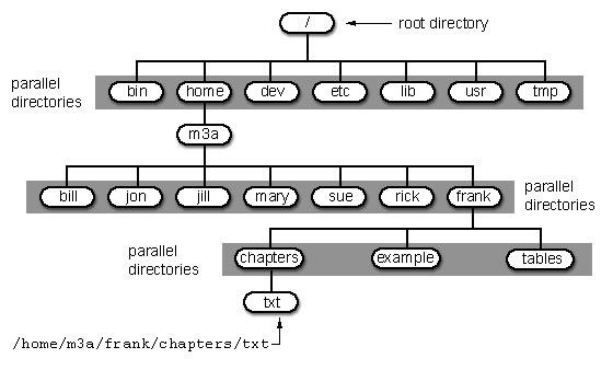 Its important to have a basic understanding of this file structure because - photo 1