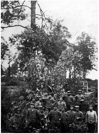 Tree that was brought down at the kitchen of the 433 Theodor Koch documented - photo 16