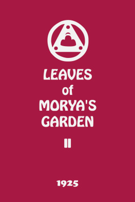 Agni Yoga Leaves of Moryas Garden II (Illumination)