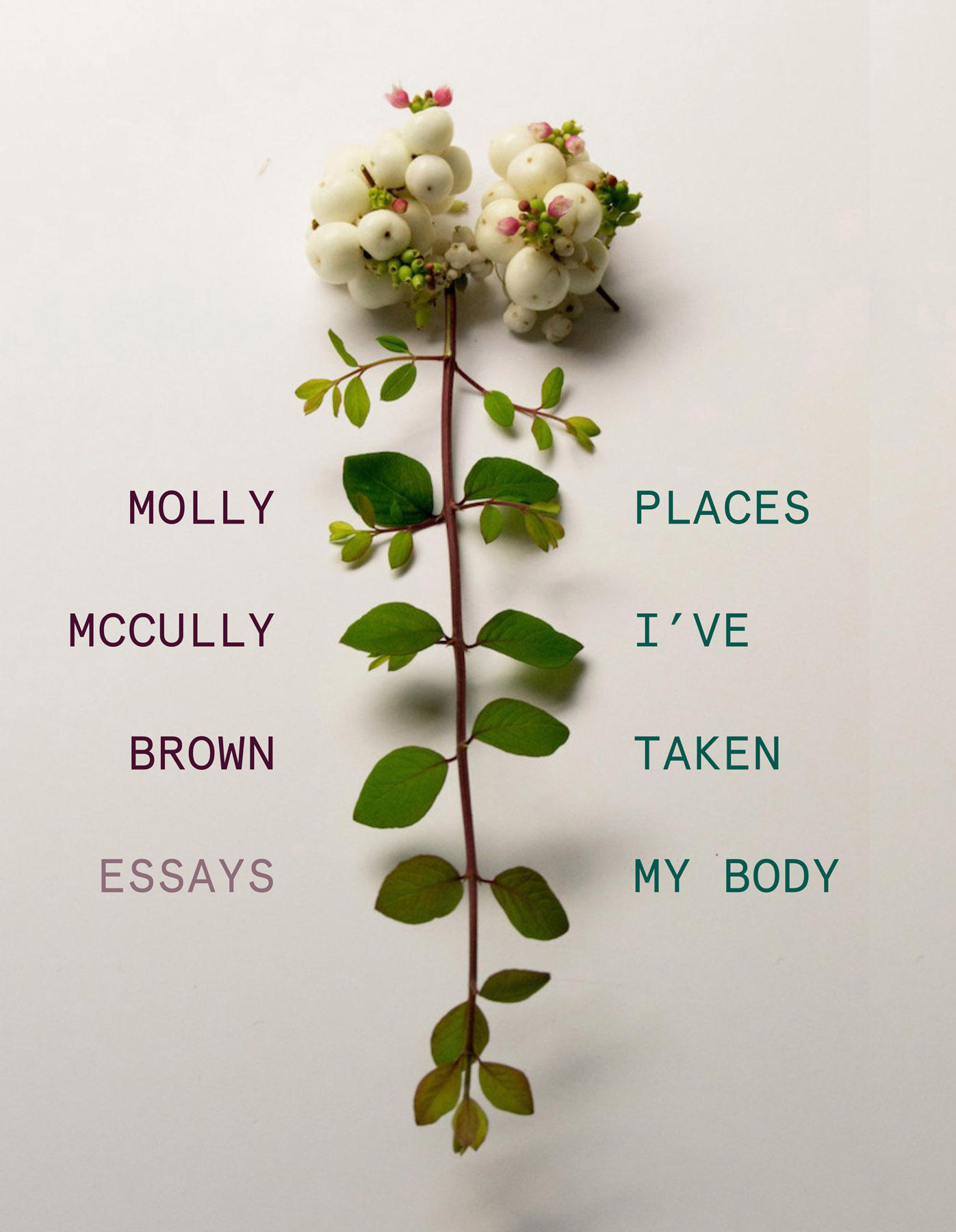 PLACES IVE TAKEN MY BODY ESSAYS MOLLY MCCULLY BROWN For my family in all - photo 1