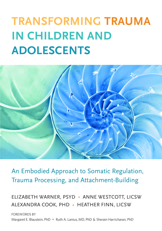 Praise for Transforming Trauma in Children and Adolescents SMART is a - photo 1