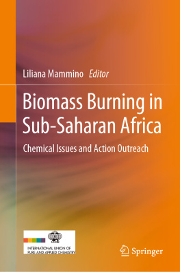 Liliana Mammino - Chemical Issues in Biomass Burning in Sub-Saharan Africa