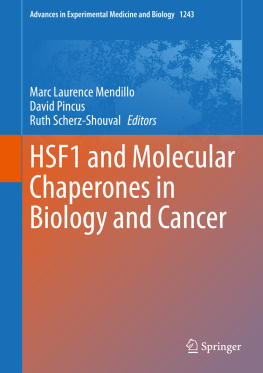 Marc Laurence Mendillo HSF1 and Molecular Chaperones in Biology and Cancer