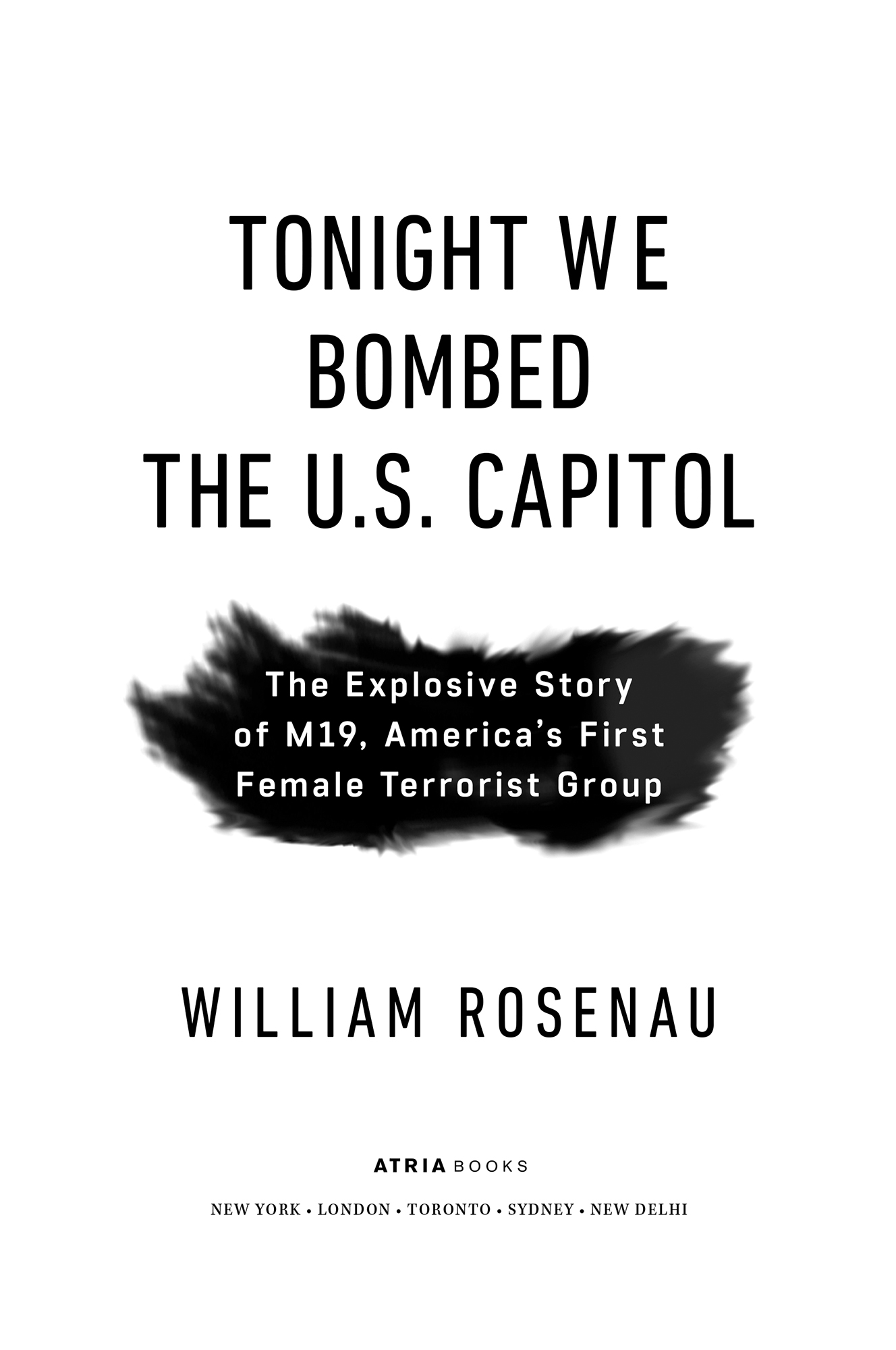 Tonight We Bombed the US Capitol The Explosive Story of M19 Americas First Female Terrorist Group - image 1