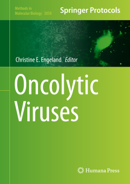 Christine E. Engeland - Oncolytic Viruses