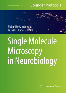 Nobuhiko Yamamoto - Single Molecule Microscopy in Neurobiology