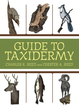 Charles Reed The Complete Guide to Traditional Taxidermy