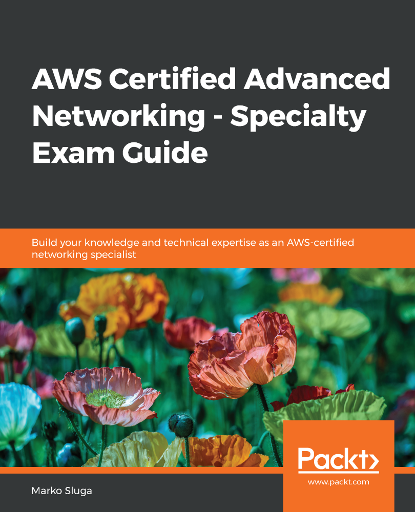 AWS Certified Advanced Networking - Specialty Exam Guide Build your - photo 1