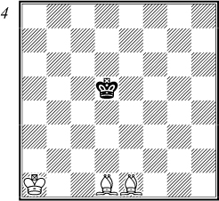 The winning procedure is the same as in the previous examples The black king - photo 6