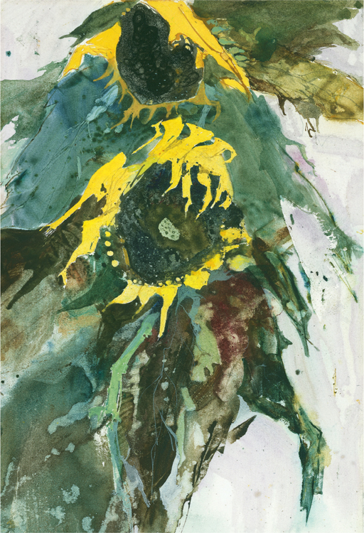 Sunflowers Watercolour c1987 These sunflowers were sketched and a series of - photo 10