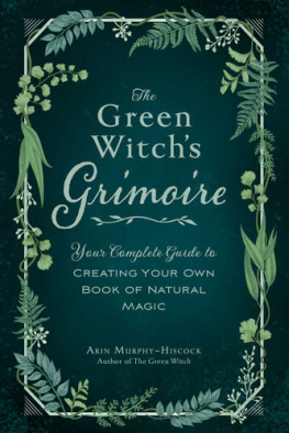 Arin Murphy-Hiscock The Pregnant Goddess: Your Guide to Traditions, Rituals, and Blessings for a Sacred Pagan Pregnancy