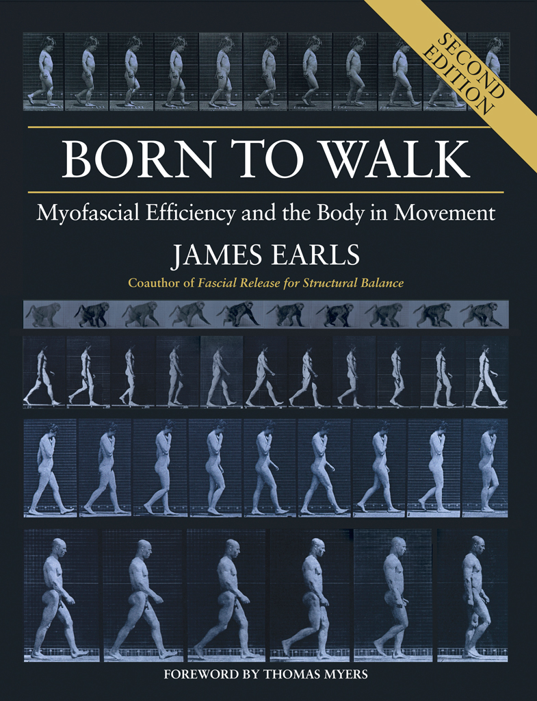 BORN TO WALK Myofascial Efficiency and the Body in Movement Second Edition - photo 1