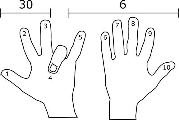 To get the answer to 9 x 4 we count the fingers to the left of the bent - photo 3