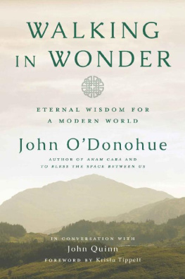 John ODonohue Walking in Wonder