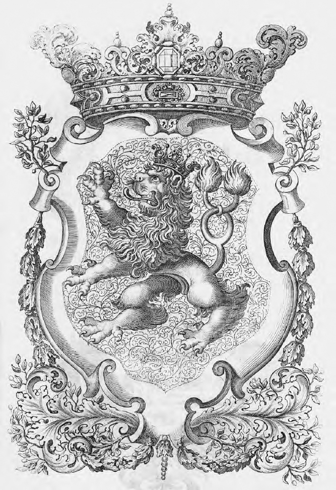 Historical emblem of the Bohemian Kingdom A two-tailed jumping lion was an - photo 4