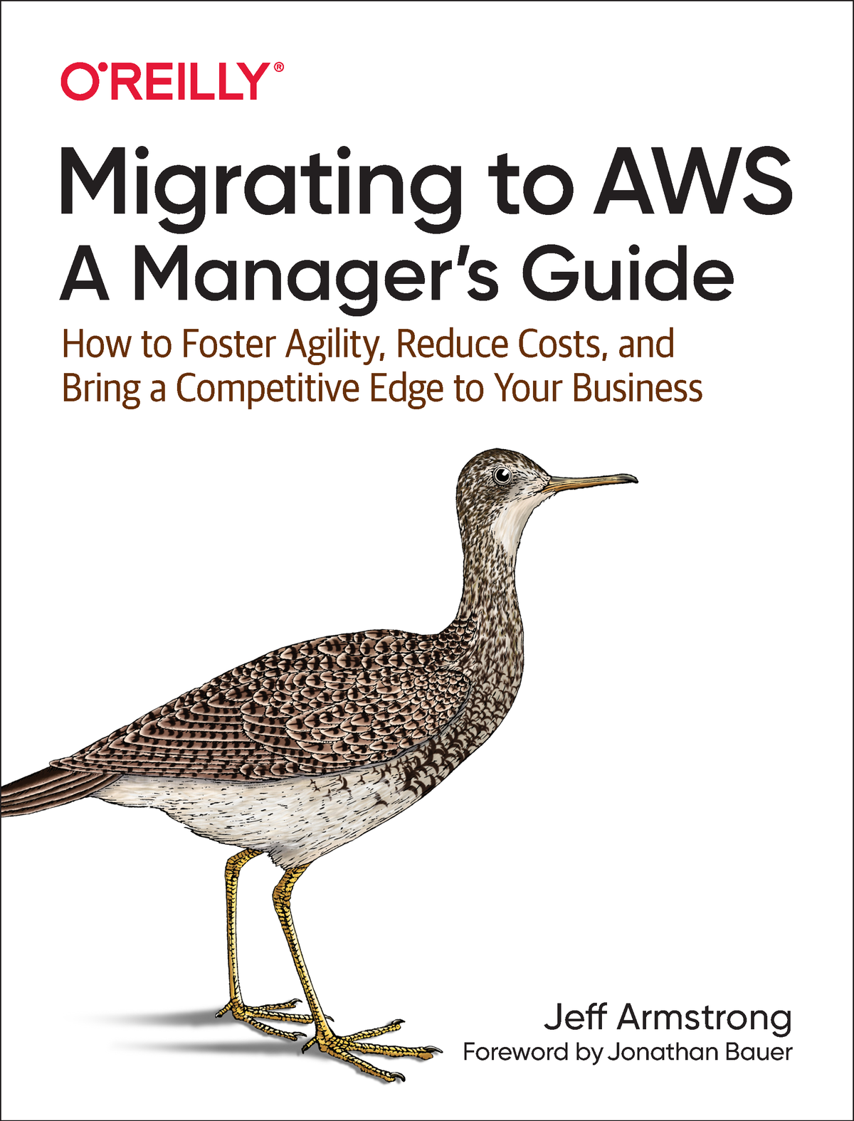 Migrating to AWS A Managers Guide by Jeff Armstrong Copyright 2020 Jeff - photo 1