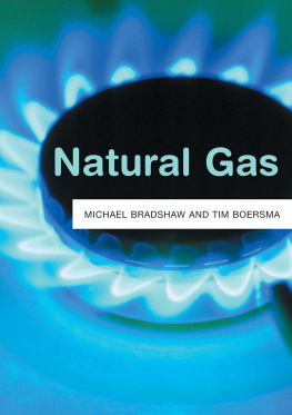 Michael J. Bradshaw - Natural Gas