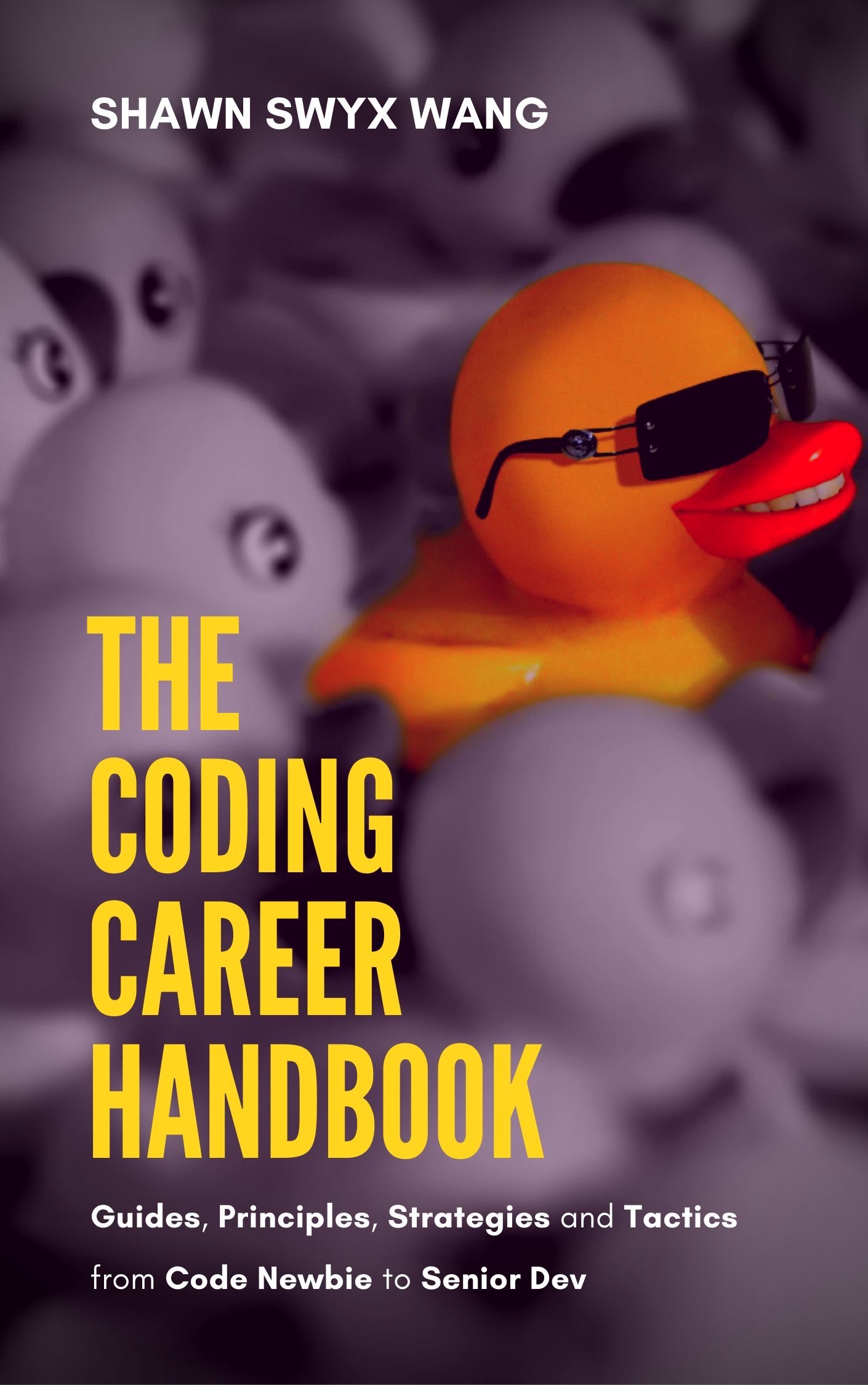 The Coding Career Handbook Guides Principles Strategies and Tactics from - photo 1