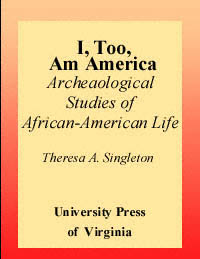 title I Too Am America Archaeological Studies of African American - photo 1