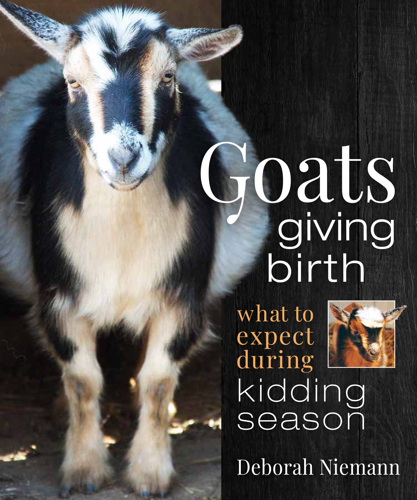 Praise for Goats Giving Birth Anyone new to goats should read this book - photo 1