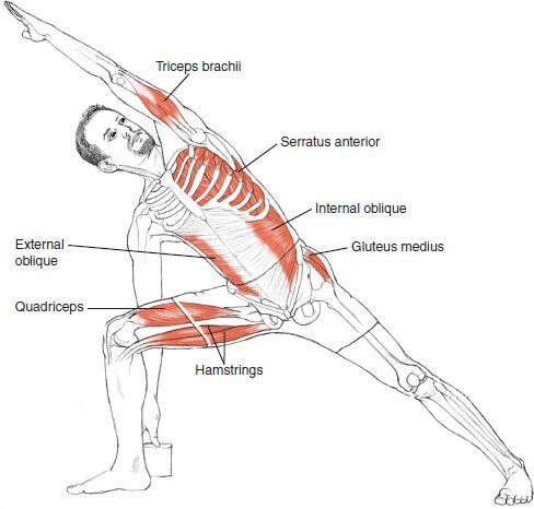 Extended Side Angle Pose Step by step Stand facing the long side of your - photo 3