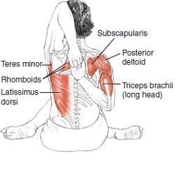 Cow Face Pose Step by step Start in Dandasana Staff pose Bend the - photo 4