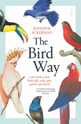 Jennifer Ackerman - The Bird Way: A New Look at How Birds Talk, Work, Play, Parent, and Think