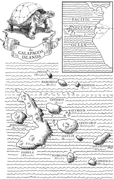 PREFACE The Galapagos Islands have been considered and positioned as the - photo 3