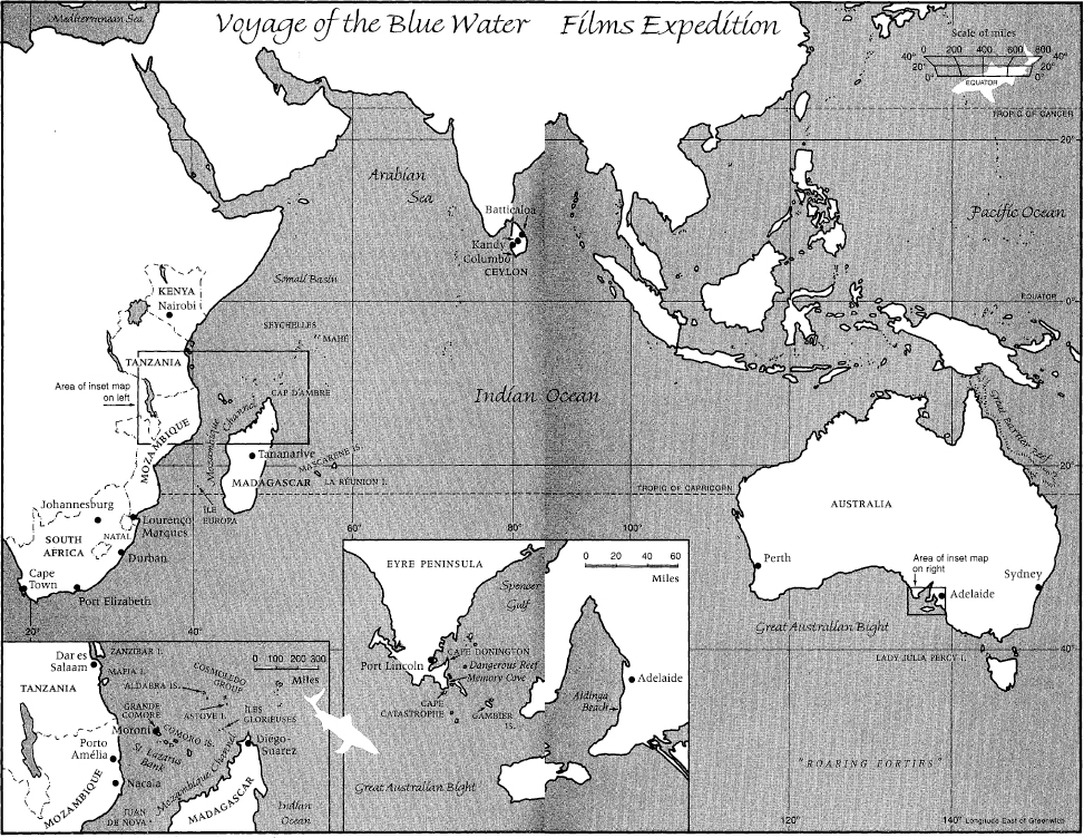 Blue Meridian THE SEARCH FOR THE GREAT WHITE SHARK Peter Matthiessen - photo 2