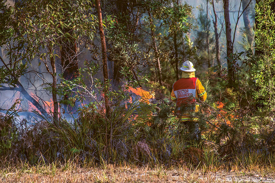 Impassioned activists sparked my interest in firescaping The OaklandBerkeley - photo 5