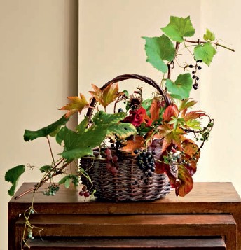 Japanese Ikebana for Every Season - photo 3