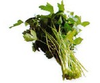 Mitsuba is a herb used in some soups and salads It is often added to dishes as - photo 15