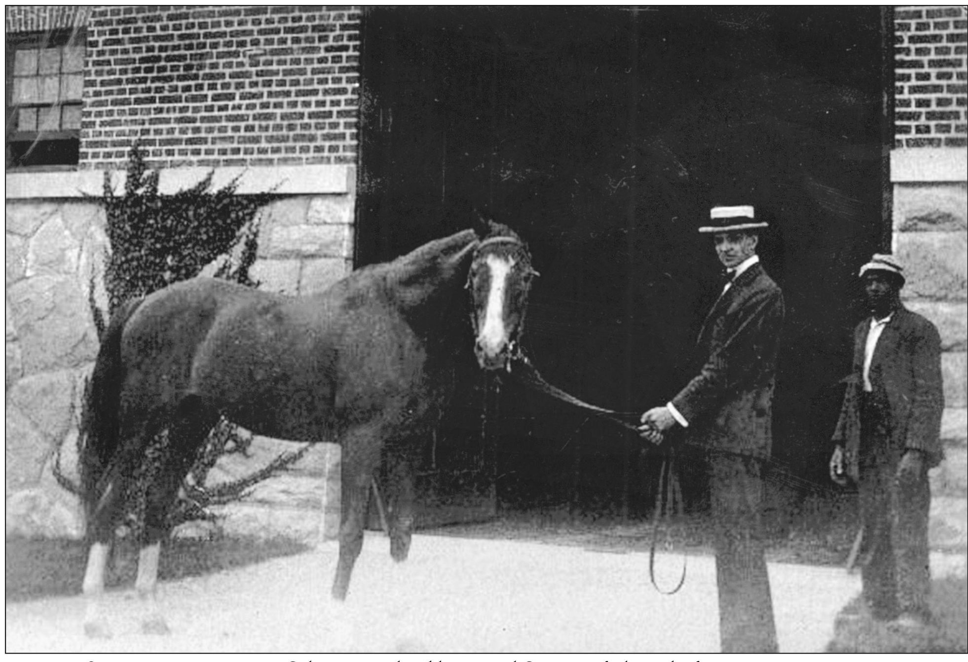 SALVATOR 18861909 Salvator was bred by Daniel Swigert of Elmendorf Farm in - photo 5