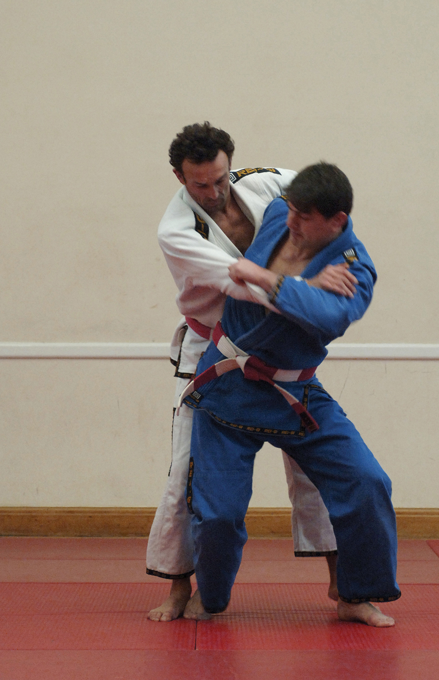 Fundamentals of Judo - image 1