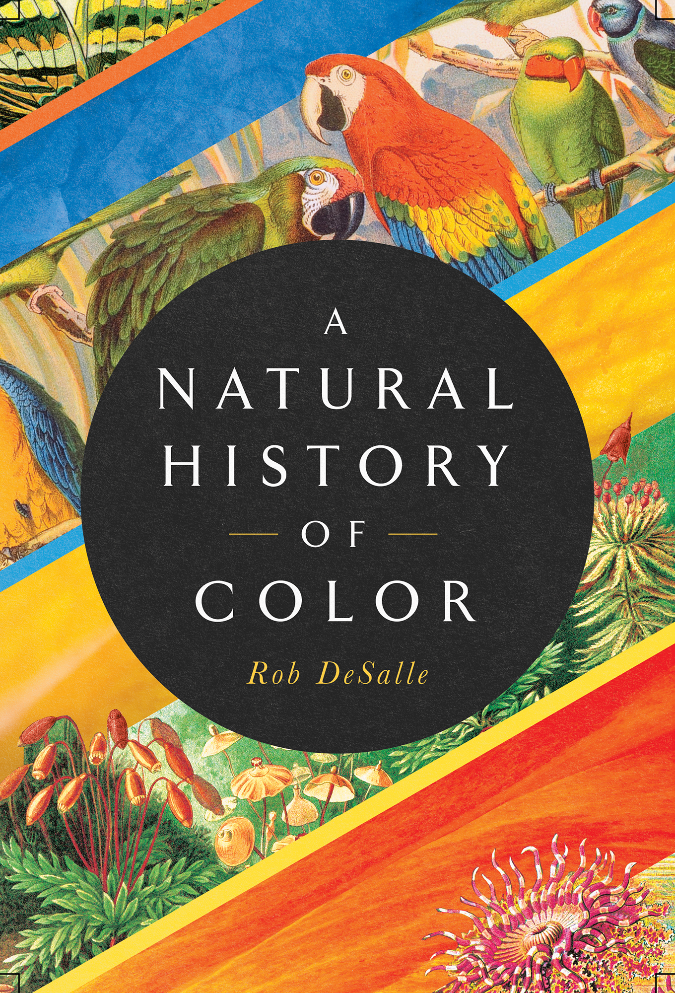 A NATURAL HISTORY OF COLOR Pegasus Books Ltd 148 W 37th Street 13th Floor - photo 1