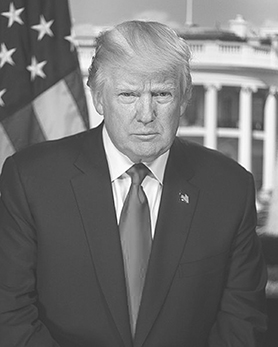 FIGURE 01B Donald Trump presidential portrait Source Library of Congress - photo 4