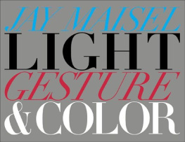 Jay Maisel Light, Gesture, and Color (Voices That Matter)