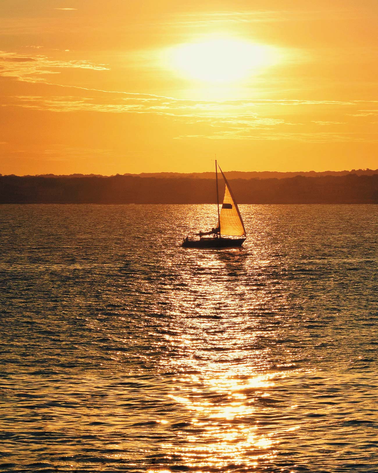 sailboat in South County at sunset sunflower near the Providence River - photo 6