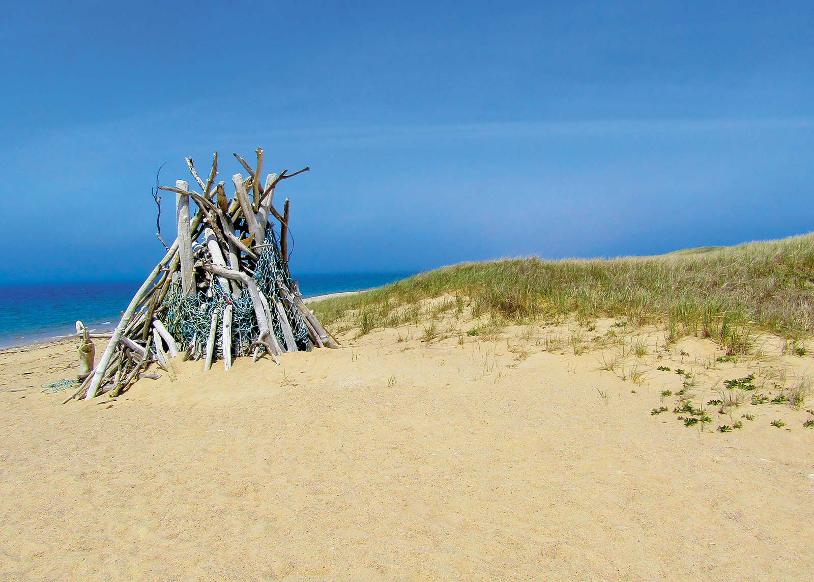 a seaside sculpture made from washed up logs and fishing rope Contrary to what - photo 8