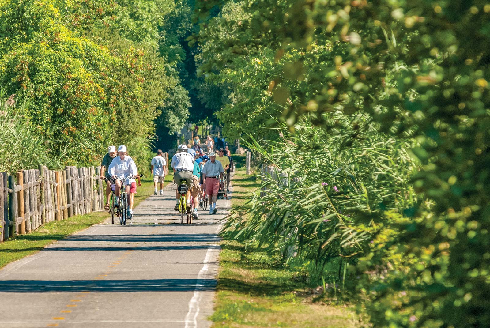 Cycle the State Admire the scenic and popular on two wheels Drink and - photo 19