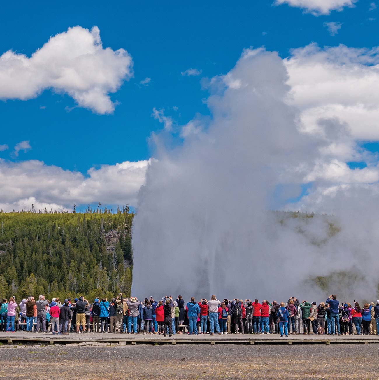 Set Your Watch by Watch Yellowstones most reliable geyser shoot up to 8400 - photo 23