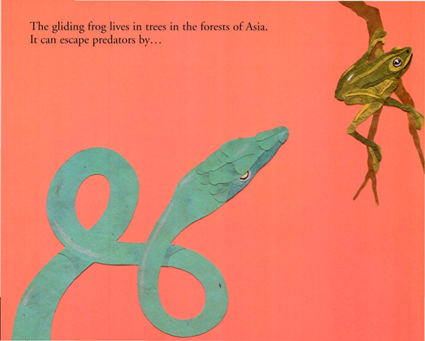 The gliding frog lives in trees in the forests of Asia It can escape predators - photo 19