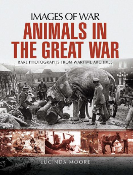 Lucinda Moore - Animals in the Great War