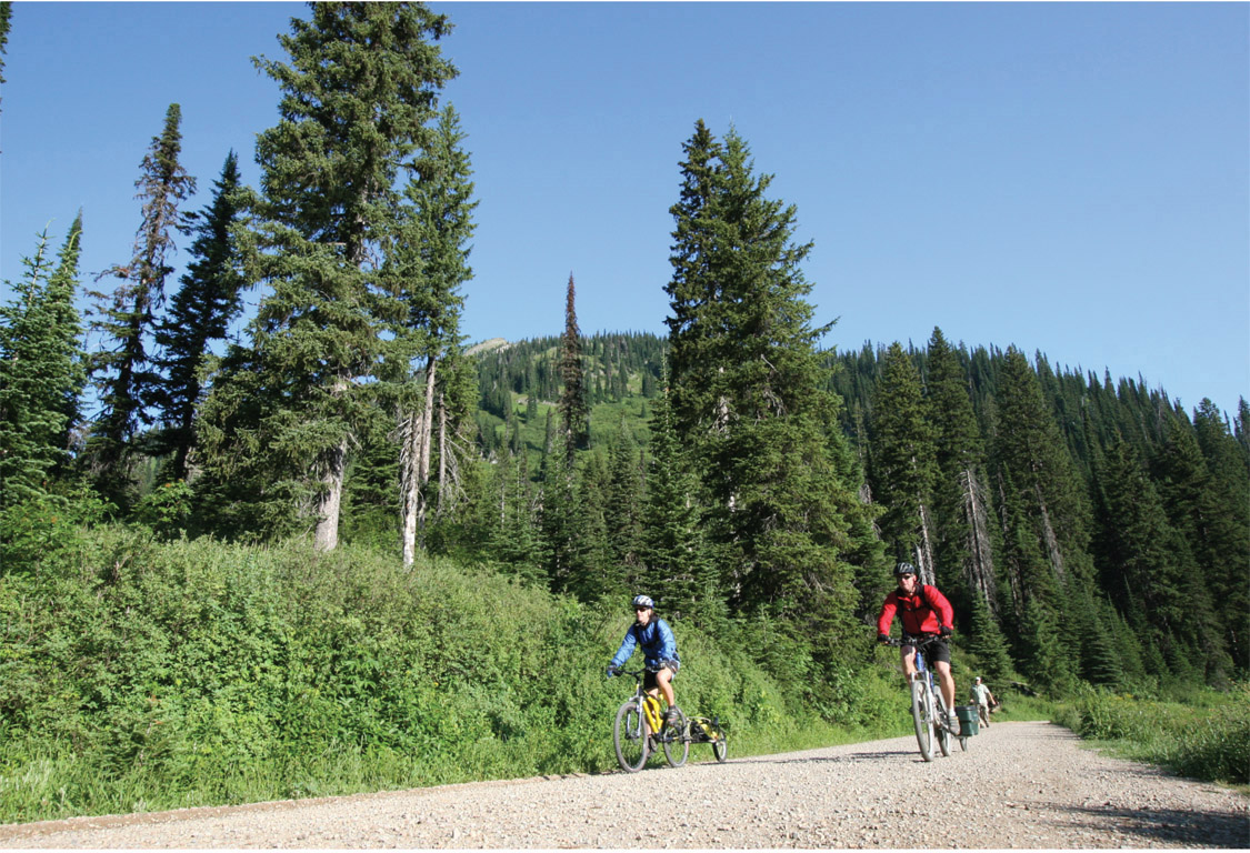 Mike Deme 1 Ride the Great Divide Mountain Bike Route LENGTH Quit Your Job - photo 2