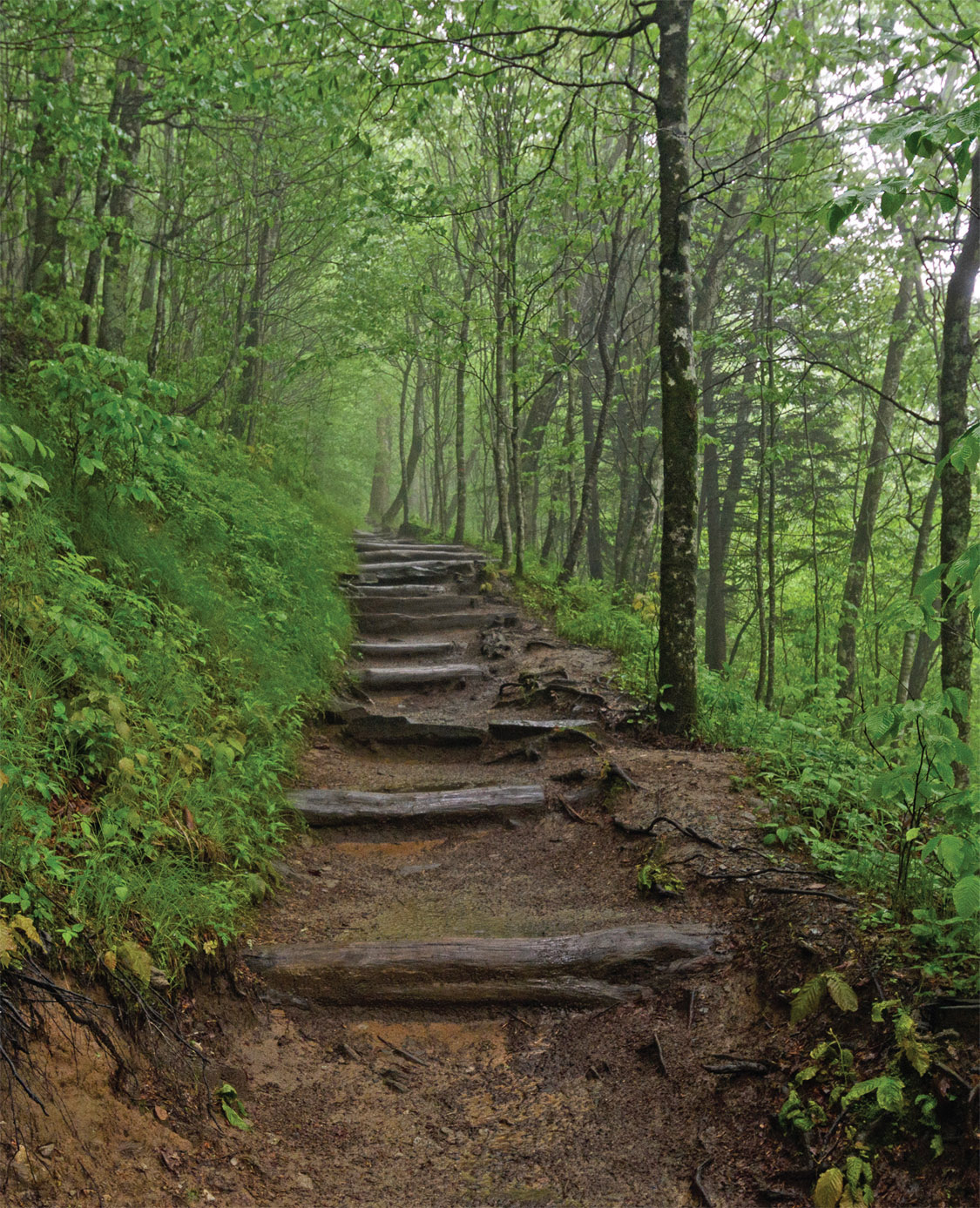 iStockcomwildnerpix 3 Thru-Hike the Appalachian Trail LENGTH Quit Your - photo 5